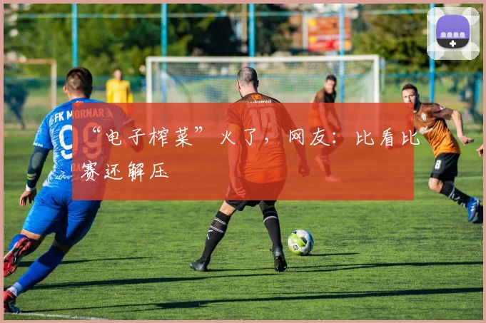 “电子榨菜”火了，网友：比看比赛还解压