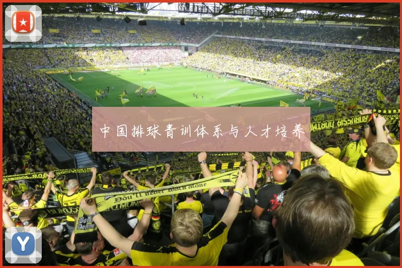 中国排球青训体系与人才培养